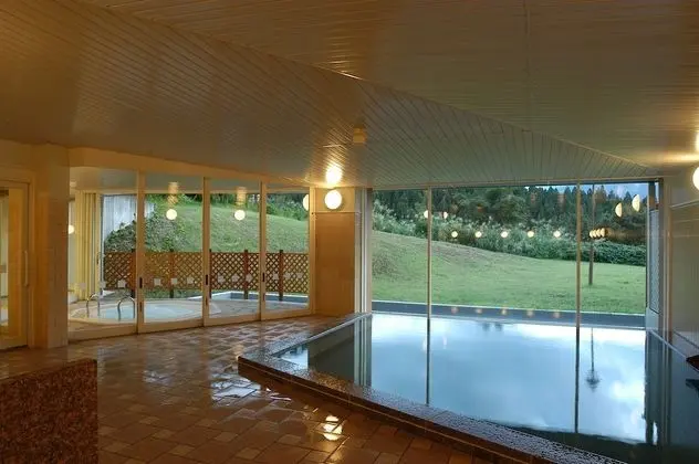 Maiko Kogen Hotel - Havuz