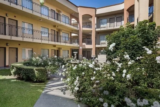 MainStay Suites Orange County John Wayne Airport - Havuz