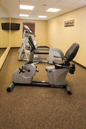 Mainstay Suites Rapid City - Aktiviteler