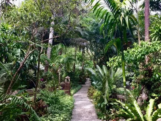 Mairood Resort - Lobi