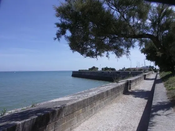 Maison Antioche - Plaj