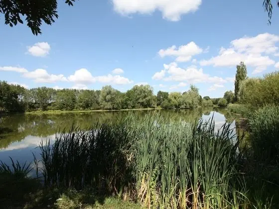 Maison De L'etang - Dış Mekan