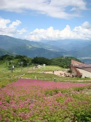 Maison de Sasagawa - Hostel - Dış Mekan