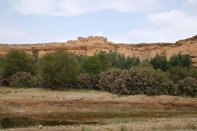 Maison d'hôte Tizwiyate Dades - Dış Mekan