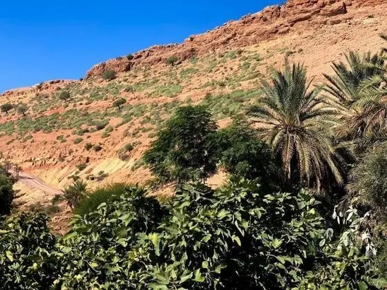 Maison D'hôtes Ait Mouli - Dış Mekan
