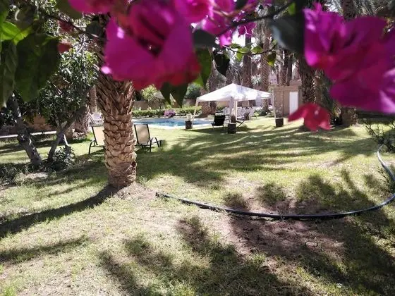 Maison d'Hôtes Ighrem - Dış Mekan