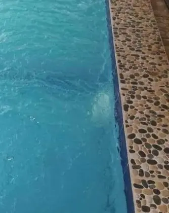 Maison d'hôtes Le Diambar - Dış Mekan