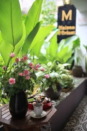 Maison d'Orient Hotel - Dış Mekan