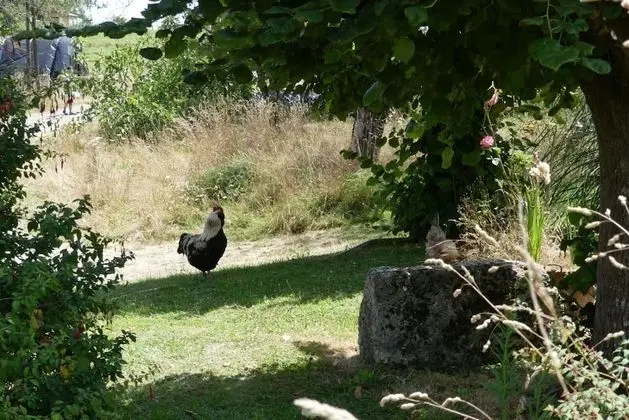 Maison Du Cheval - Dış Mekan