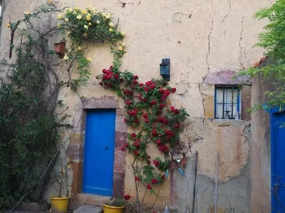Maison du Parc - 1