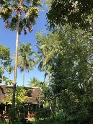 Maison Houng Chanh - Luang prabang - Dış Mekan