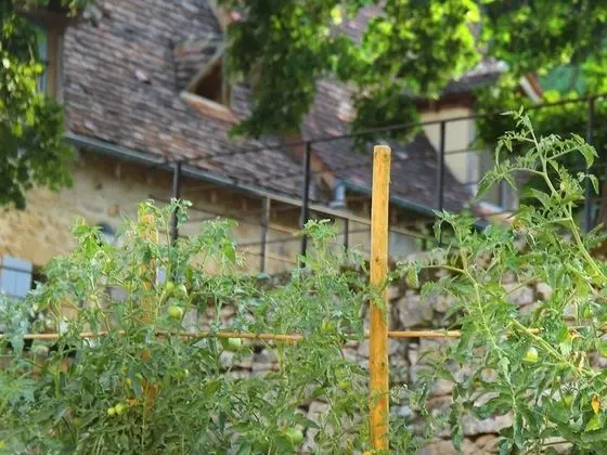 Maison Milou - Dış Mekan