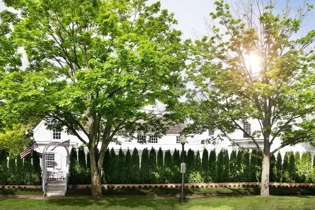 Maison Vivienne Southampton