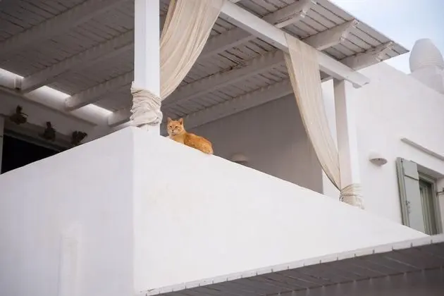 Maisons a la Plage - Dış Mekan