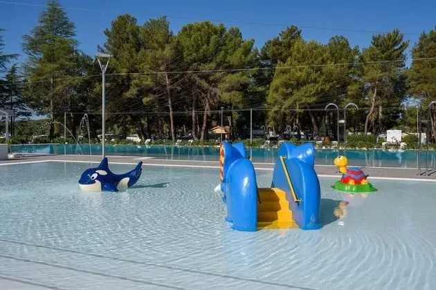 Maistra Camping Valkanela Mobile homes - Havuz