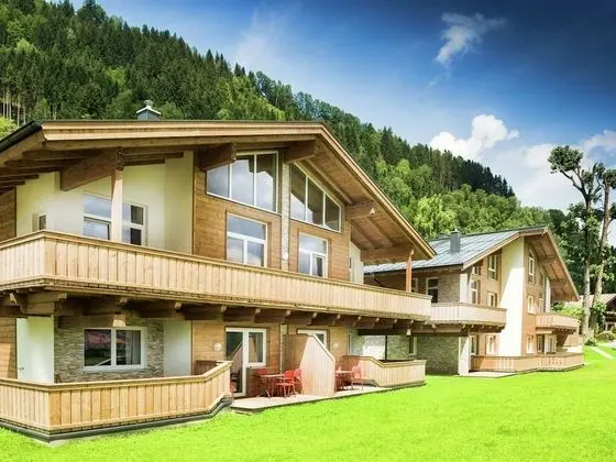 Majestic Apartment in Zell am See near Ski Area