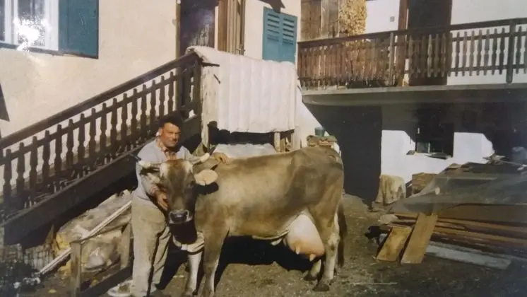 Majon de la Nona - Genel