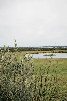 Majuba Country Lodge - Oda Manzaraları