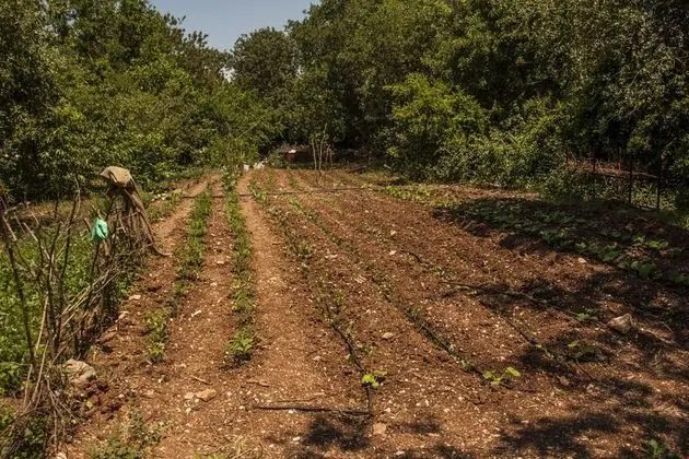 Makri Otel Kayakoy - Genel
