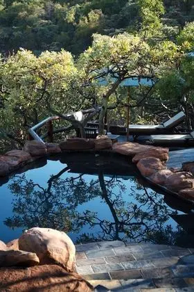 Makweti Safari Lodge - Havuz