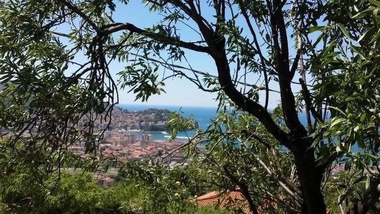Villa Malandrino Guest House