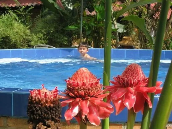 Malee's Nature Lovers Bungalows - Havuz