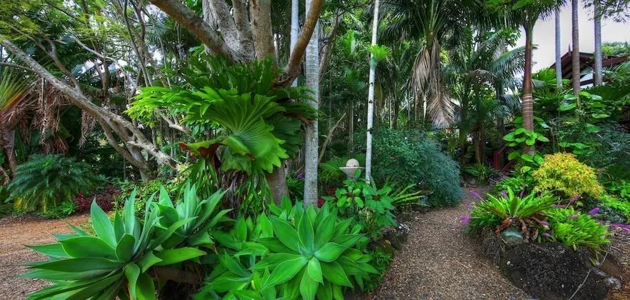 Maleny Tropical Retreat Balinese B&B - Dış Mekan