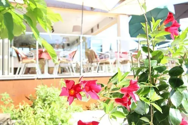 Malerwinkl - Kunsthotel - Dış Mekan
