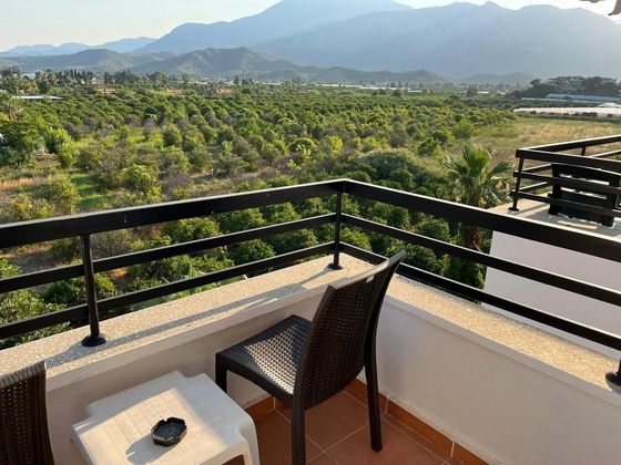 Malibu Resort HotelFotoğrafı