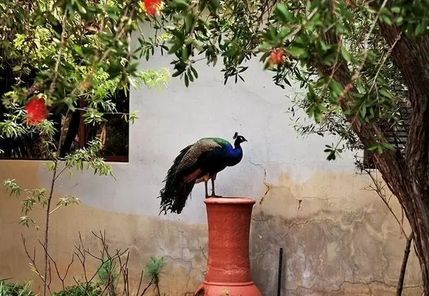 Malibu Country Lodge - Dış Mekan