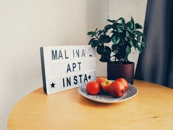 MalinaApt Bohemian Loft - İç Mekan