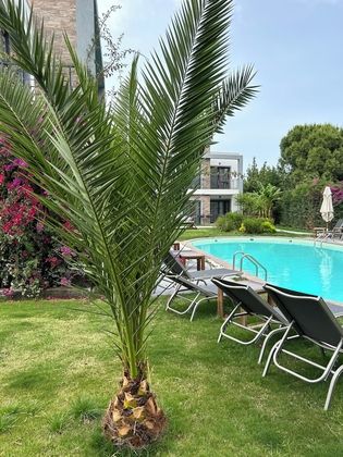 Malta BodrumFotoğrafı