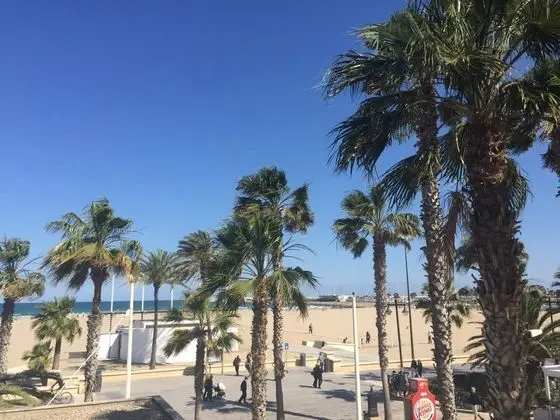 Malvarrosa Beach Rooms - Plaj