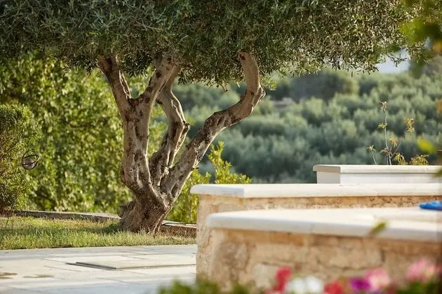 Villa Malvazia