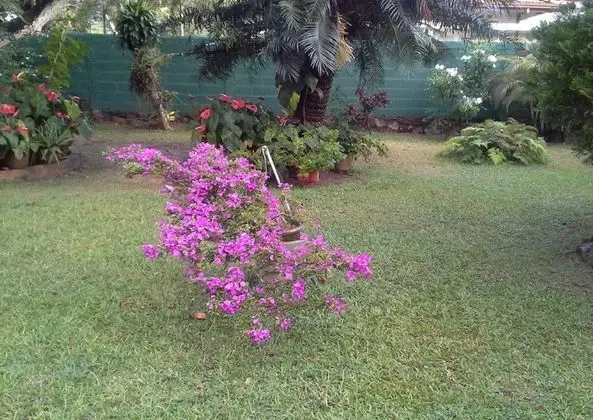 Mama's Villa by Taprobane