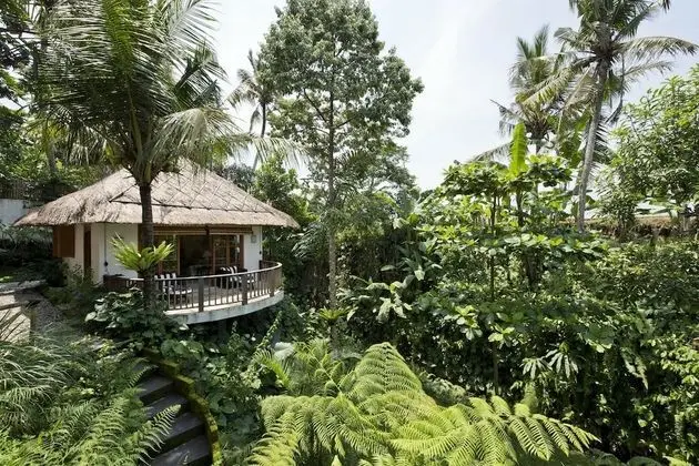 Mambo Villa - Ubud