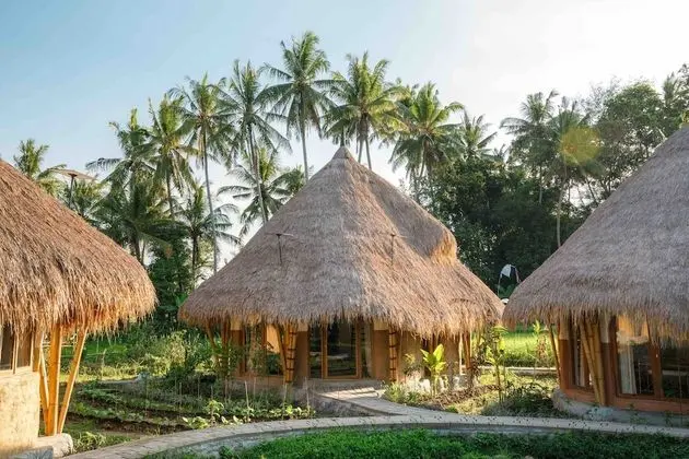 Mana Earthly Paradise - Hostel