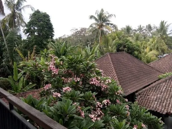 Manada Guesthouse