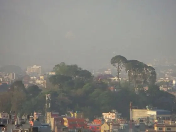 Manamaiju Homestay & Hotel