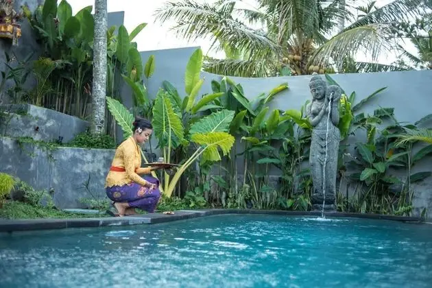 Mandana Ubud Villa - Havuz