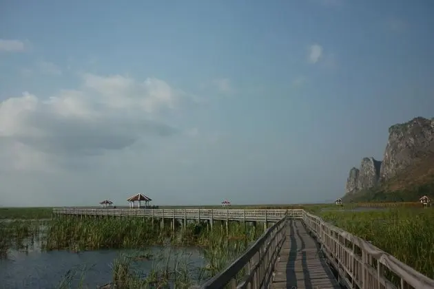 Maneemudjalin Resorts Farm Stay - Genel