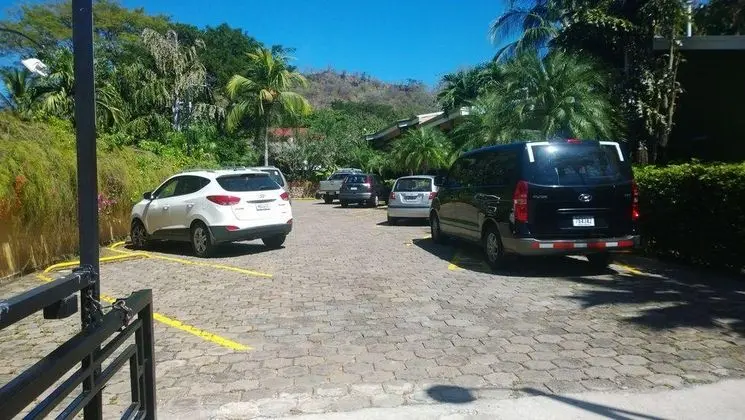 Mangaby - Genel
