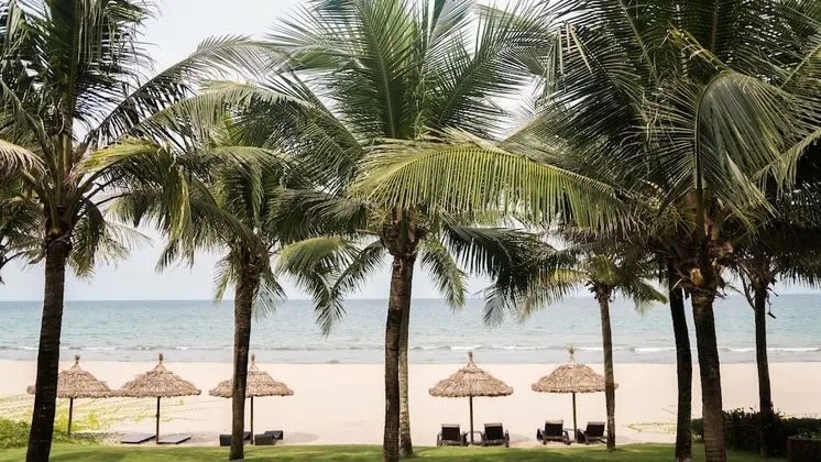 Mangala Zen Garden & Luxury Apartments - Plaj