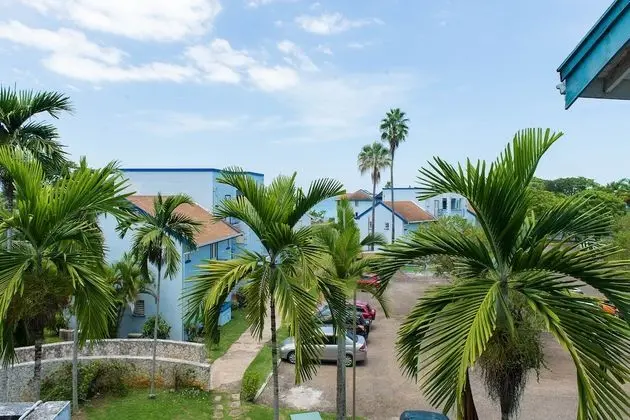 Mango Beach Studio
