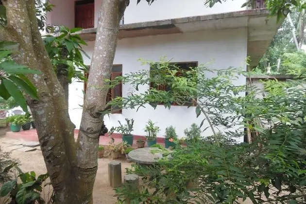 Mango House - Dış Mekan