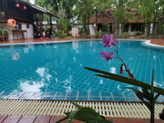Mango T. Villa Chiang Mai Resort - Havuz