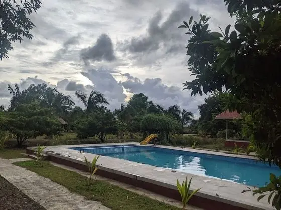 Mango Tree Farm