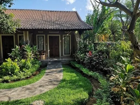 Mango Tree Inn