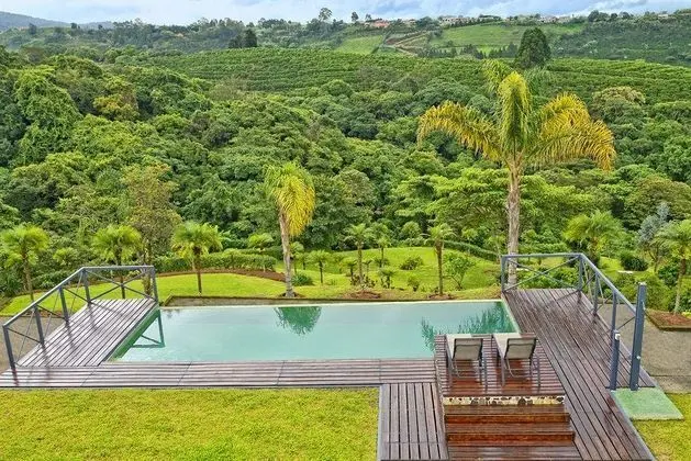 Mango Valley