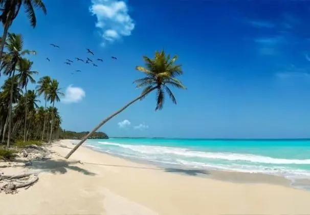 Mangro Hotel Diani Beach - Plaj